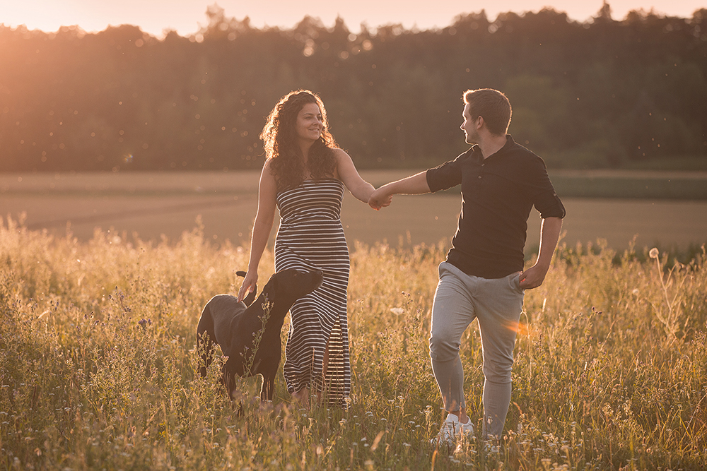 Paar läuft Hand in Hand über eine sommerliche Wiese mit großem schwarzen Hund, er blickt zu ihr zurück – Paarshooting mit Hund Stuttgart.
