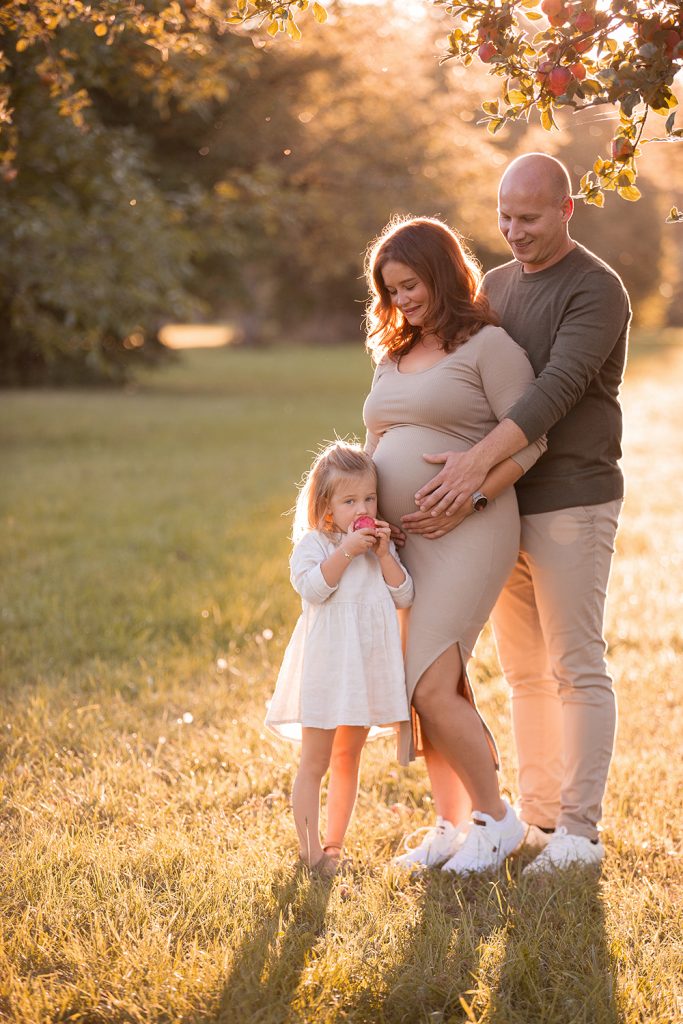 Familie steht im Abendlicht auf einer Obstbaumwiese kind isst einen Apfel an die Mama gelehnt und der Papa hat die Mama im Arm die schwanger ist. Babybauch Familien Fotoshooting Stuttgart