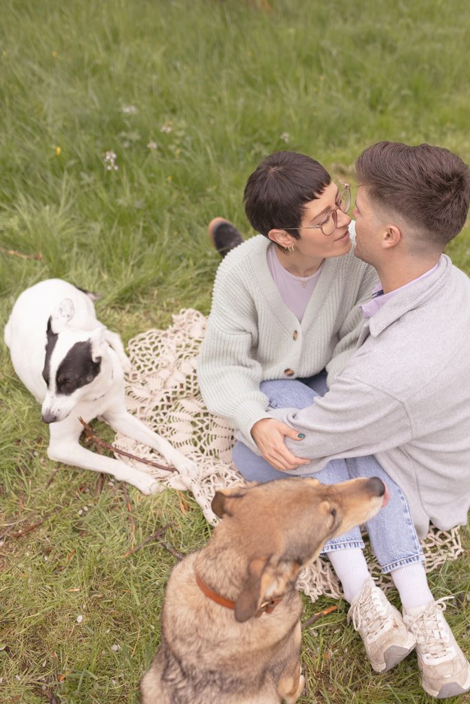 Liebespaar sitzt mit ihren beiden Hunden auf einer Wiese und küsst sich. Während einem Paar-Shooting mit Hund in Tübingen