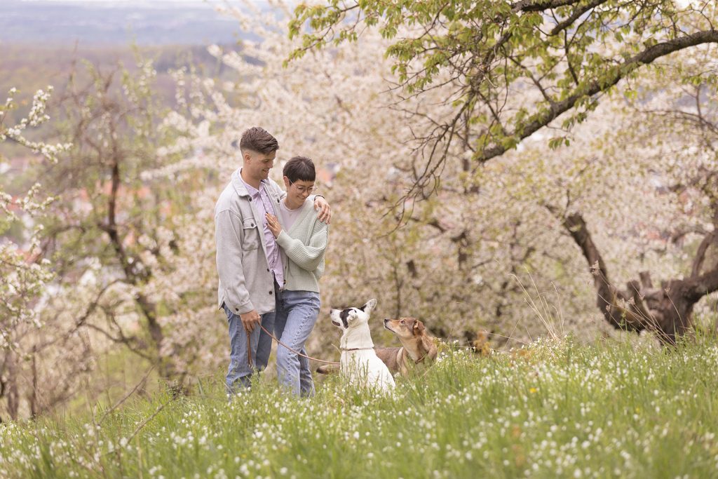 Paar steht an einem Aussichtspunkt auf blühender Obstbaumwiese, schaut auf ihre beiden Hunde, Frühlingsstimmung – Paarshooting mit Hund Stuttgart.