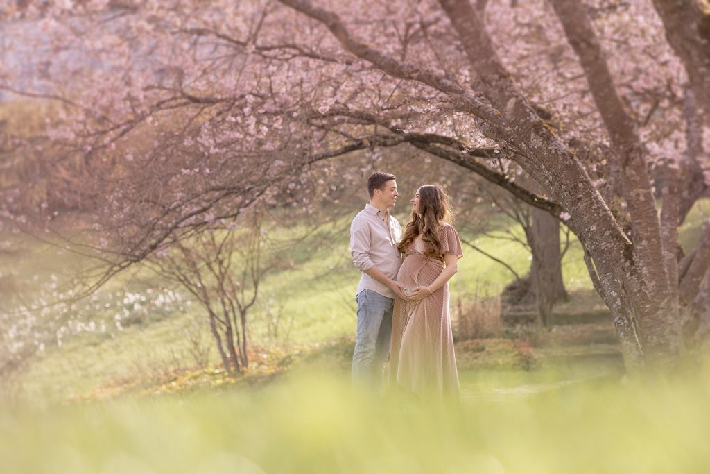 Paar im rosa Samtkleid und Hemd mit Jeans zwischen rosa Kirschblüten, Blick zueinander – Babybauch Shooting Stuttgart, Outdoor Natur.