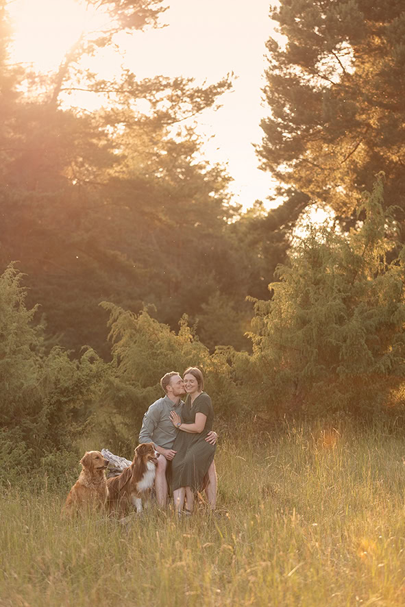 Paar sitzt zusammen auf einem Baumstumpf im Gegenlicht mit ihren beiden Hunden Australien Shepherd und Golden Retriever